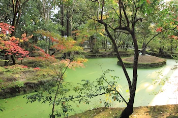 唐招提寺滄海の風景