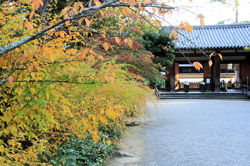 唐招提寺の風景