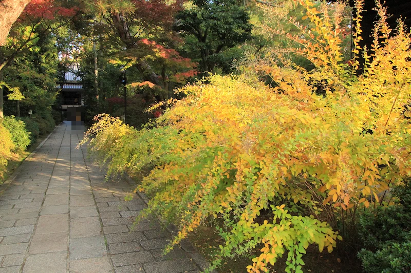 唐招提寺の風景