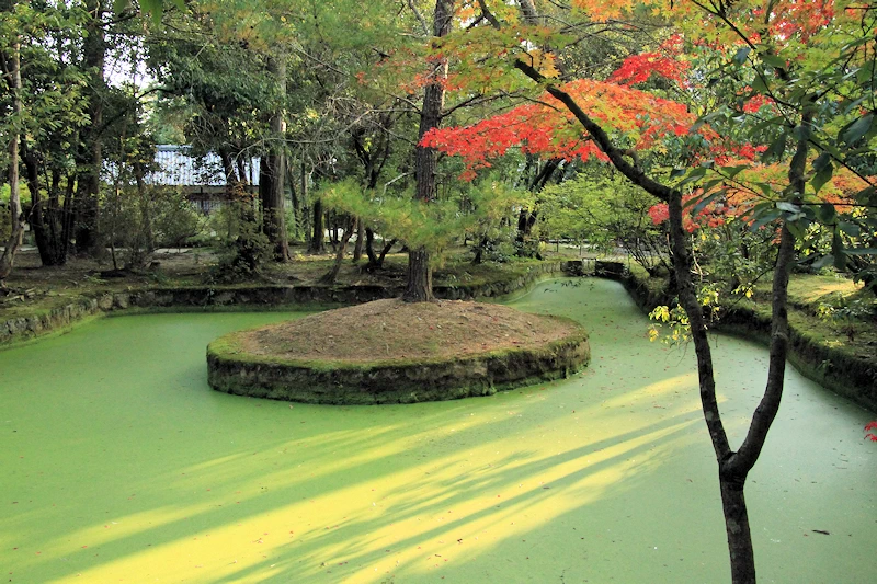 唐招提寺の風景