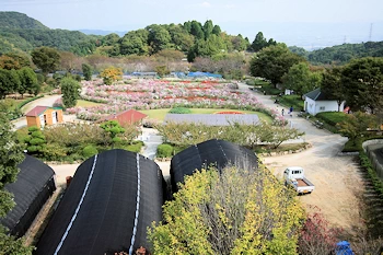 農業公園信貴山のどか村の画像