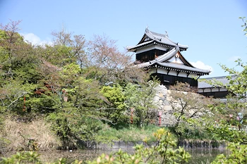 郡山城の画像