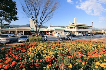 道の駅紀の川万葉の里の画像
