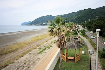 煙樹海岸の画像