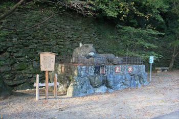 和歌山城の風景