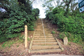 伯耆の大シイの風景