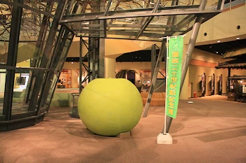 鳥取二十世紀梨記念館の風景