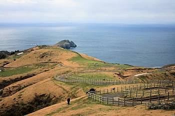 アカハゲ山展望台の画像