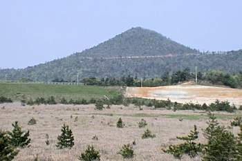 浅利富士の画像