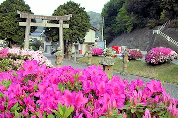 三隅神社の画像
