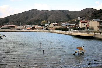 いかよせ浜の画像