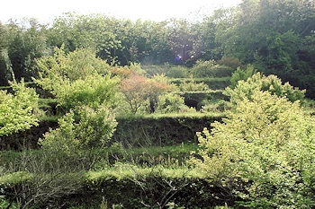 石見銀山の画像