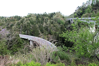 奥出雲おろちループの画像