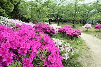 太鼓壇公園の画像