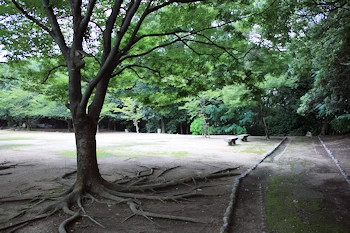 早島公園の画像