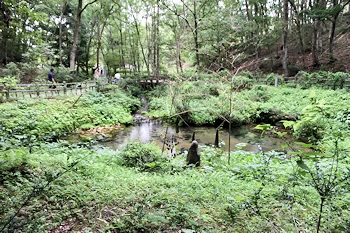 塩釜の冷泉の画像