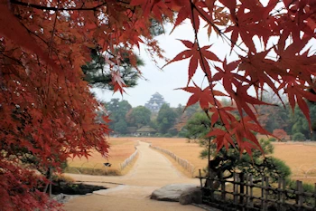 紅葉の向こうに岡山城の風景