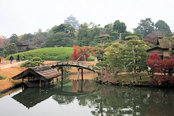花葉の池の風景