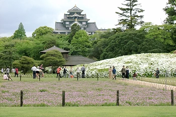 岡山城を借景にの風景