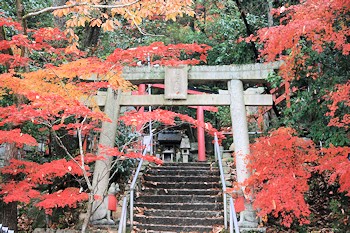 髙松稲荷の画像