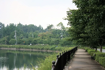 上野公園の風景