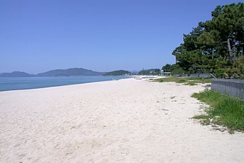 虹ケ浜海岸の風景