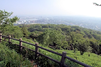 竜王山の風景