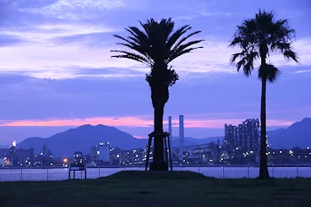晴海親水公園の風景