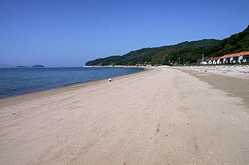 逗子ヶ浜の風景