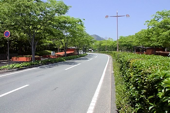 山口パークロードの風景
