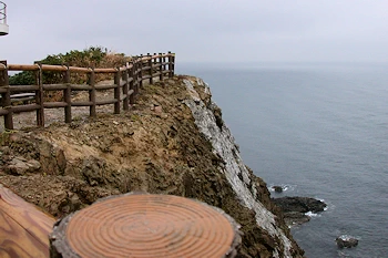 蒲生田岬の画像