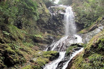 雨乞の滝の画像