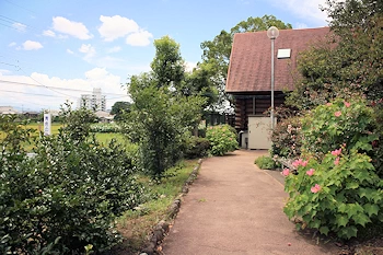 北島中央公園の画像