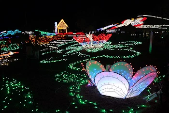 国営讃岐まんのう公園の画像