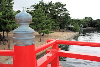 道の駅津田の松原の画像