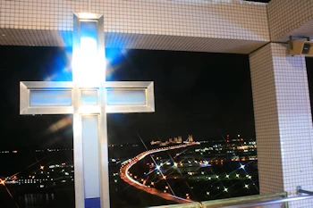 サンアンジェリーナの画像