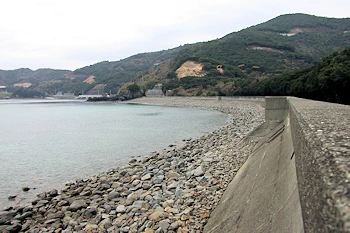 須ノ川海岸の画像