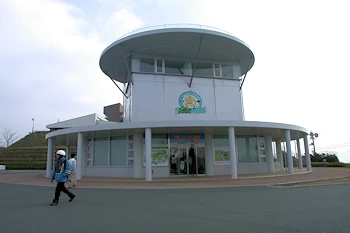 道の駅伊方・きらら館の画像