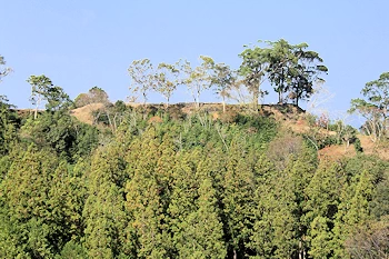 河後森城の画像
