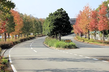 南レク街路の画像