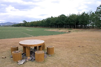 入野松原の画像