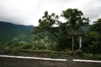 ひょうたん桜の画像