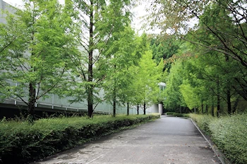 自然の森博物館の画像