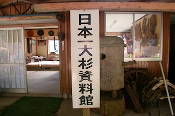 日本一大杉資料館の画像