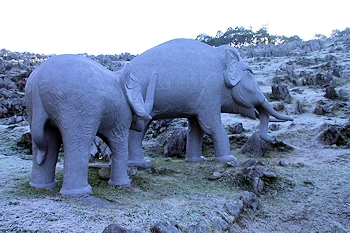 佐川ナウマンカルストの画像
