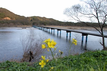 佐田沈下橋の画像