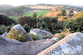 唐人駄場遺跡の画像