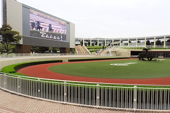小倉競馬場の風景