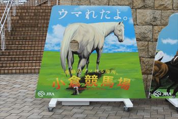 小倉競馬場の風景