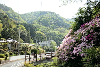 薬王寺温泉の画像